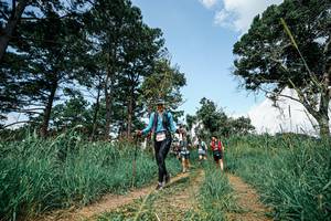 BIB: 
                            <button type="button" onclick="openModal(26041947)" class="btn btn-primary btn-sm float-right btn-popup" data-toggle="modal" data-target=".modal-high-quality">
                        <i class="fas fa-shopping-cart"></i> Add to Cart
                    </button>
                                            <button type="button" onclick="isThisMe(26041947, true)" class="btn btn-success btn-sm float-right btn-popup btn-isme hidden" data-toggle="tooltip" data-placement="bottom" title="นี่คือรูปของคุณใช่ไหม คลิกที่นี่เพื่อเอาเข้าอัลบั้ม">
                        <i class="fas fa-plus"></i> Add to album
                    </button>
                    <button type="button" onclick="isThisMe(26041947, false)" class="btn btn-warning btn-sm float-right btn-popup btn-isnotme hidden">
                        <i class="fas fa-ban"></i> Remove from album
                    </button>